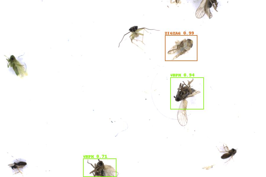 Image 22